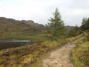 In amongst the hills